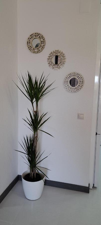 Apartamento Heco Peñíscola エクステリア 写真