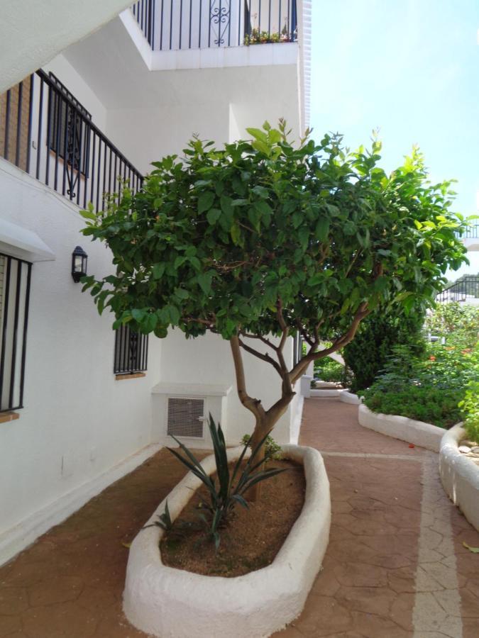 Apartamento Heco Peñíscola エクステリア 写真